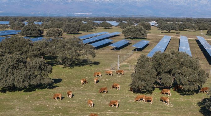 UNEF otorga el Sello de Excelencia en Sostenibilidad a la planta fotovoltaica Talayuela II de Statkraft, en Cáceres