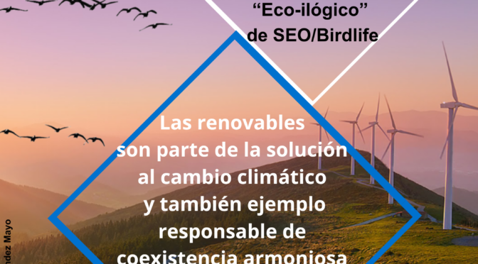 Respuesta de la Asociación Empresarial Eólica a la campaña “Eco-ilógico” de SEO/Birdlife